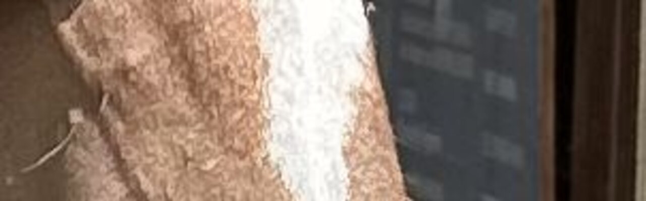 Profile banner of Frank Weißkirchen