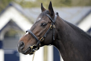 Profile picture of CA