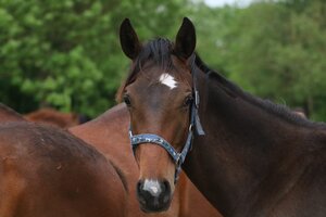 Profile picture of RA