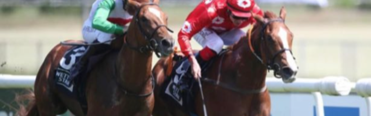 Profile banner of Markus Kinkel