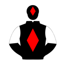 Profile picture of B