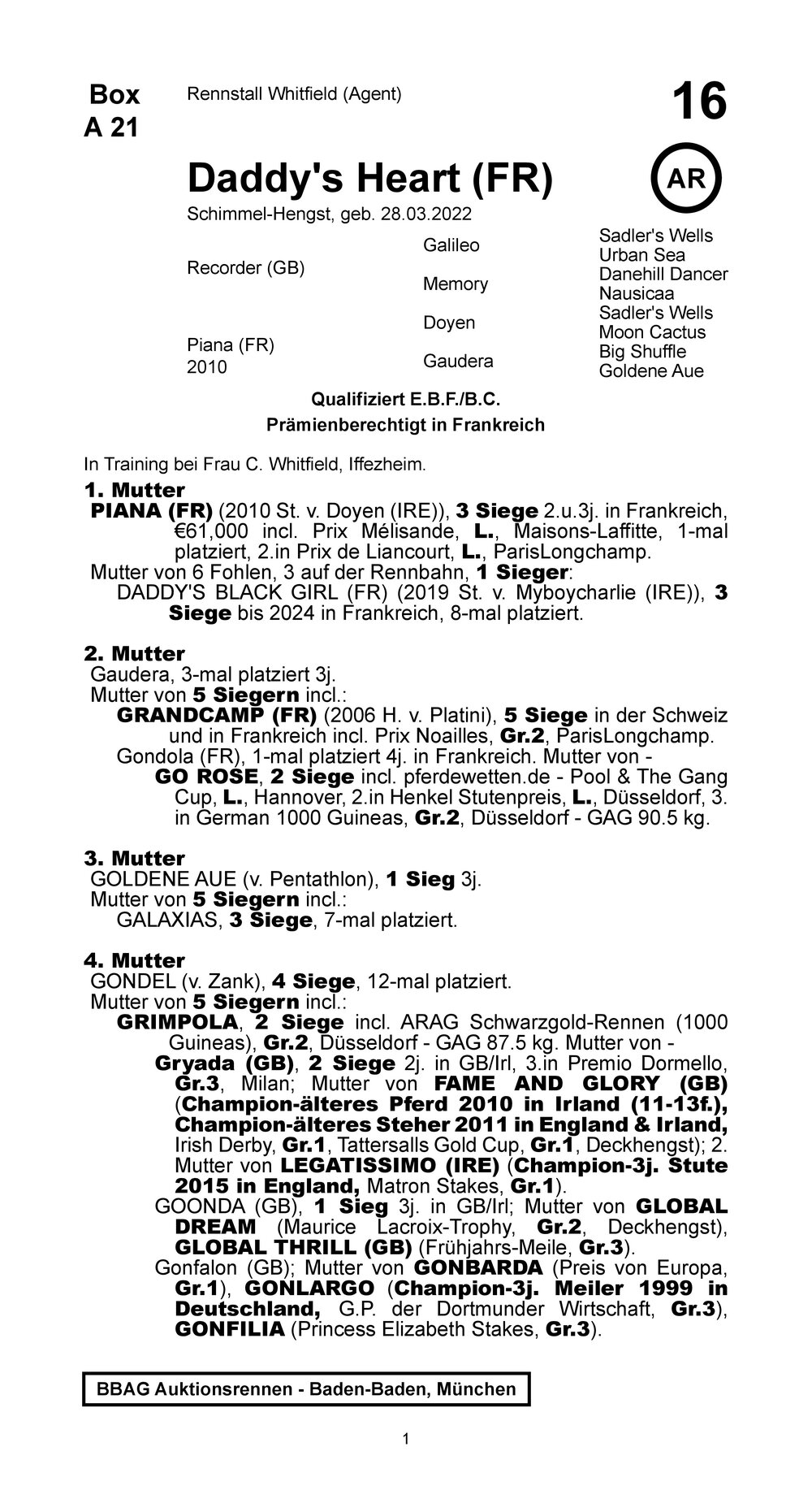 Pedigree for Daddys Heart (FRA), 2022 | © BBAG