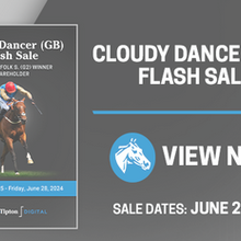 Profile picture of FS | © Fasig-Tipton Digital