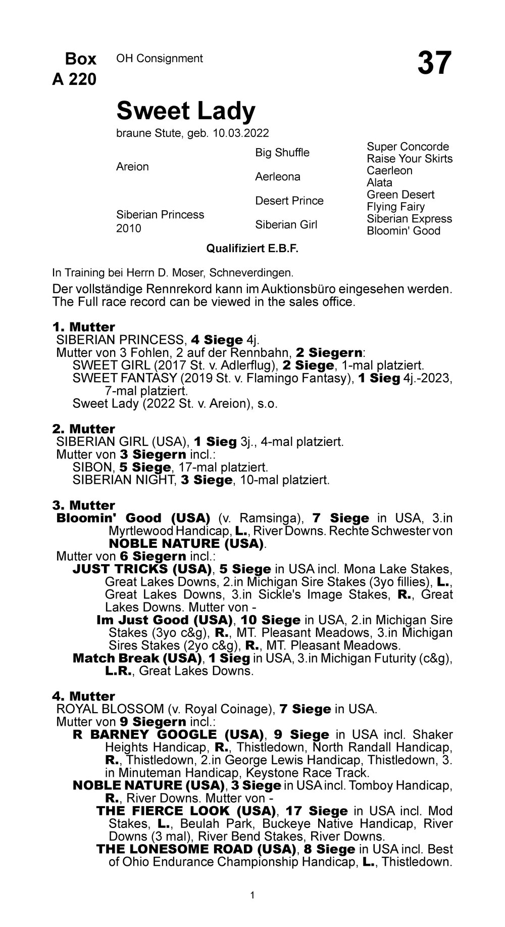 Pedigree for Sweet Lady (GER), 2022