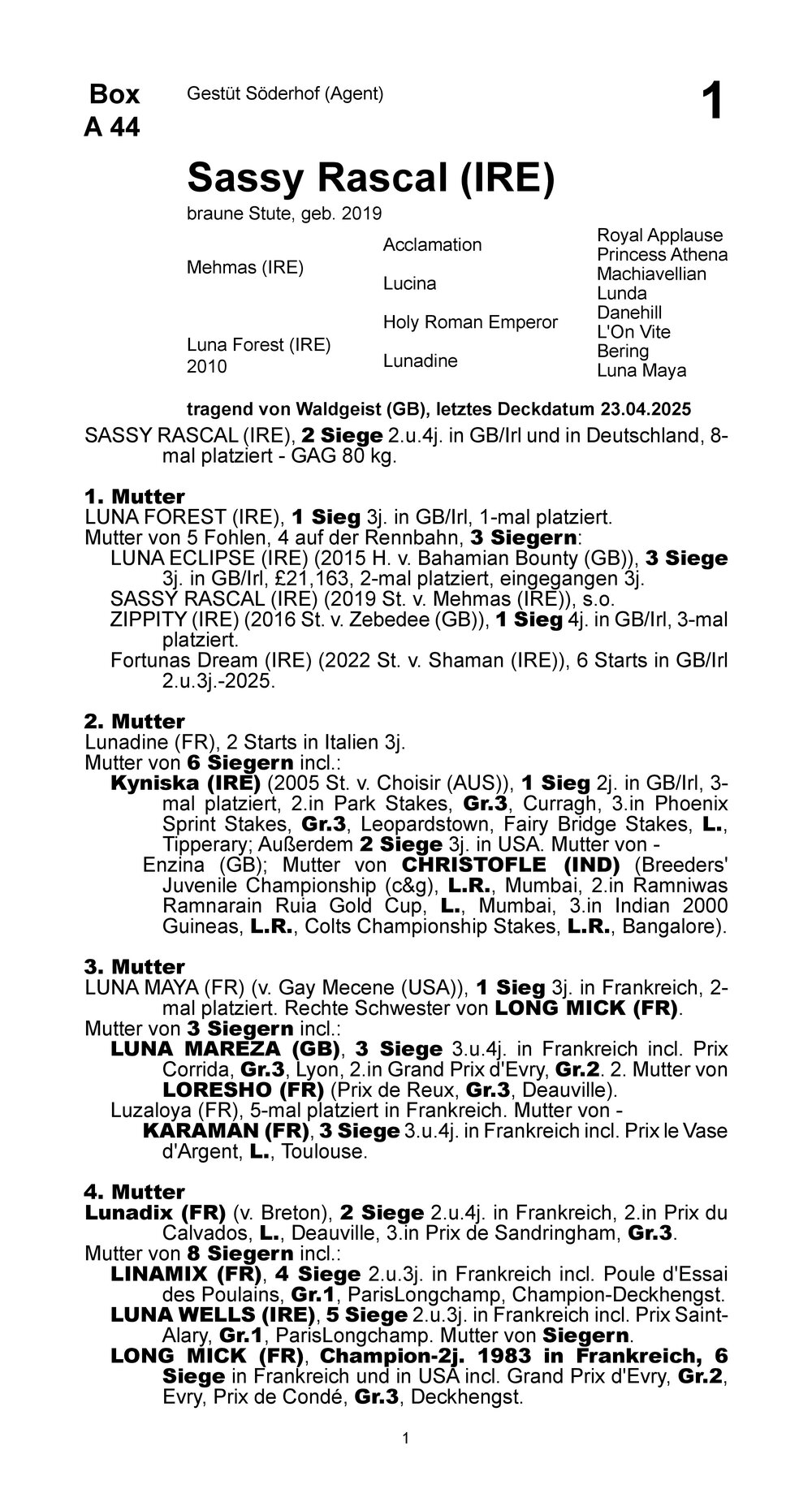 Pedigree for Sassy Rascal (IRL), 2019