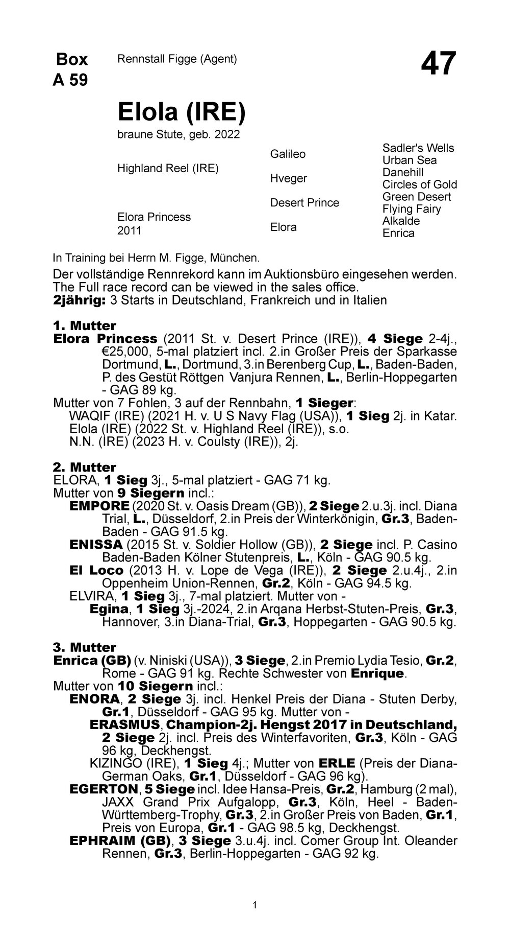 Pedigree for Elola, 2022