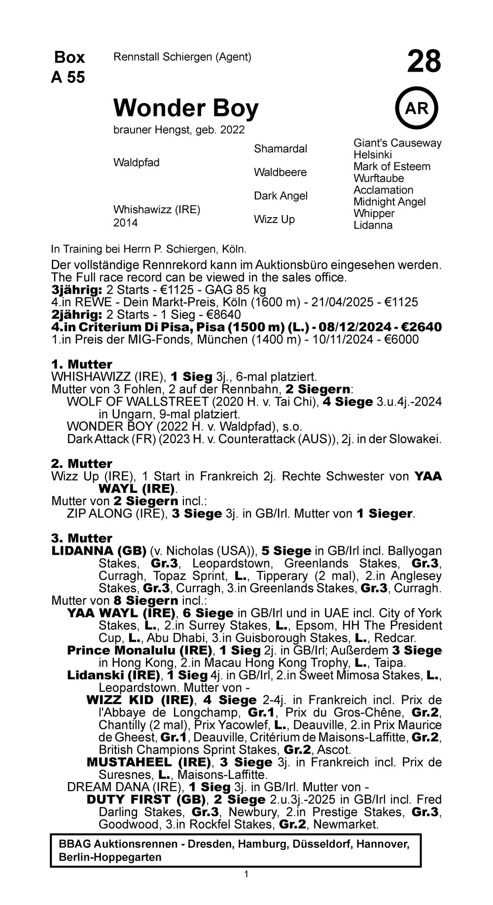 Pedigree for Wonder Boy (GER), 2022