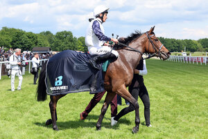 18.05.2025, Hannover, Niedersachsen, GER - Hannover, Lady Charlotte mit Adrie de Vries nach dem Sieg. Galopprennbahn Hannover, Neue Bult. | © Sabine Brose / Galoppfoto.de 18.05.2025, Hannover, Niedersachsen, GER - Hannover, Lady Charlotte mit Adrie de Vries nach dem Sieg. Galopprennbahn Hannover, Neue Bult. | © Sabine Brose / Galoppfoto.de