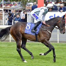 25.08.2023, York, North Yorkshire, GBR - kylian with Clifford Lee. York racecourse.  | © Jim Clark / Galoppfoto.de