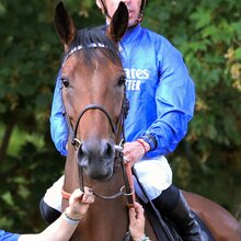 Profile picture of FV | © Galoppfoto.de