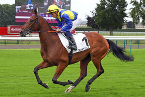 02.06.2024, Chantilly, Paris, FRA - goliath with William Buick. Chantilly racecourse. | © Sandra Scherning / Galoppfoto.de 02.06.2024, Chantilly, Paris, FRA - goliath with William Buick. Chantilly racecourse. | © Sandra Scherning / Galoppfoto.de