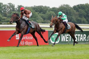 09.06.2025, Koeln, Nordrhein-Westfalen, GER - Zuckerhut mit Andrasch Starke gewinnt das 190. Union-Rennen. Galopprennbahn Koeln-Weidenpesch. ( | © Stephanie Gruttmann / Galoppfoto.de 09.06.2025, Koeln, Nordrhein-Westfalen, GER - Zuckerhut mit Andrasch Starke gewinnt das 190. Union-Rennen. Galopprennbahn Koeln-Weidenpesch. ( | © Stephanie Gruttmann / Galoppfoto.de