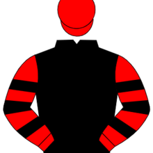 Profile picture of SL