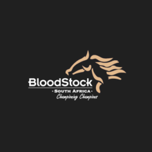 Profile picture of B2 | © Bloodstock South Africa