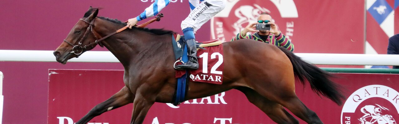 Profile banner of AURELIEN  LEMAITRE	