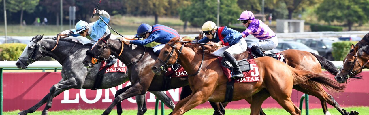 Profile banner of Marie Velon | © Galoppfoto.de