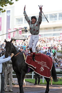 Horse image of DABIRSIM | © galoppfoto.de