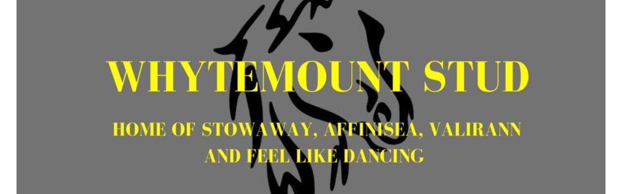 Profile banner of Whytemount Stud
