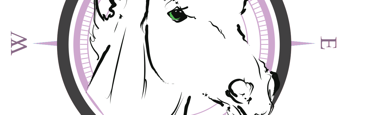 Profile banner of Compas Stallions,Starfield Stud