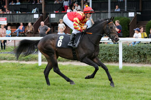 Horse image of Best Lightning | © Galoppfoto.de