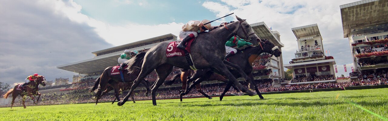 Profile banner of Jour de Galop | © Frank Sorge / Galoppfoto.de