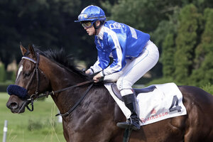 Horse image of Orthos | © Galoppfoto.de