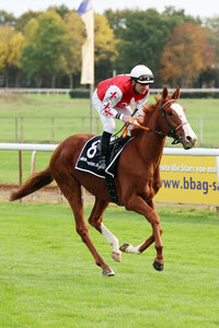 Horse image of Sommersby | © Galoppfoto.de